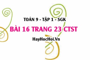 Bài 16 trang 23 Toán 9 tập 1 Chân trời sáng tạo SGK